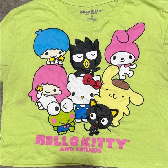 Hello Kitty Lime Green & Pink Character Crop Tee - Picture 3 of 4